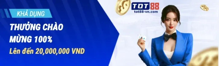 Cầu lông và vợt trên sân